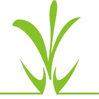 Green Line Velikova